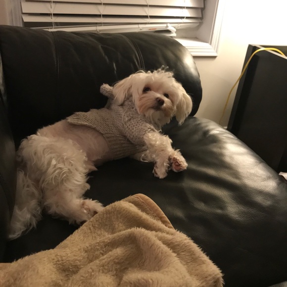 Meet your Posher, Karen - Picture 1 of 1